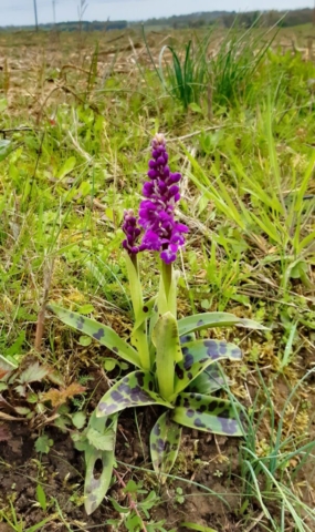 20240402-16s 145444b