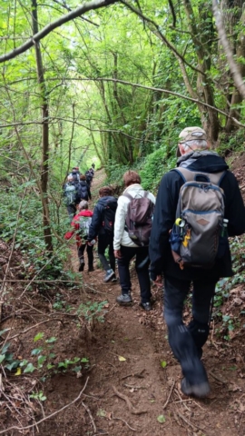 20240430-4 1000017787