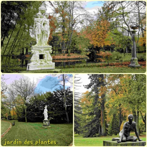 20241114_7 143406180