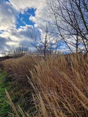 2 IMG-20250124-WA0013