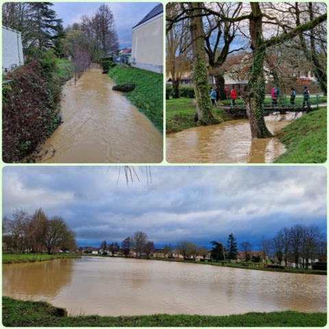 3 IMG-20250124-WA0015