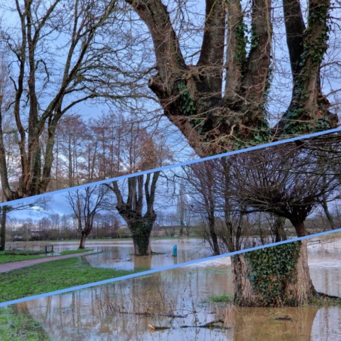 4 IMG-20250124-WA0016