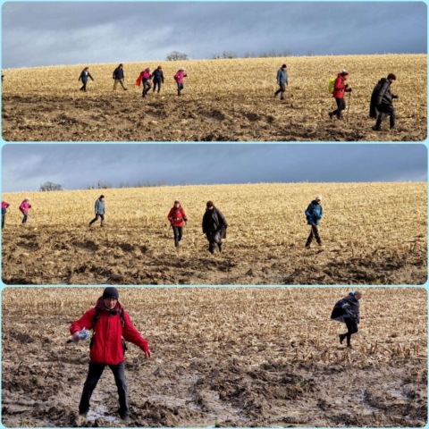 6 IMG-20250128-WA0009