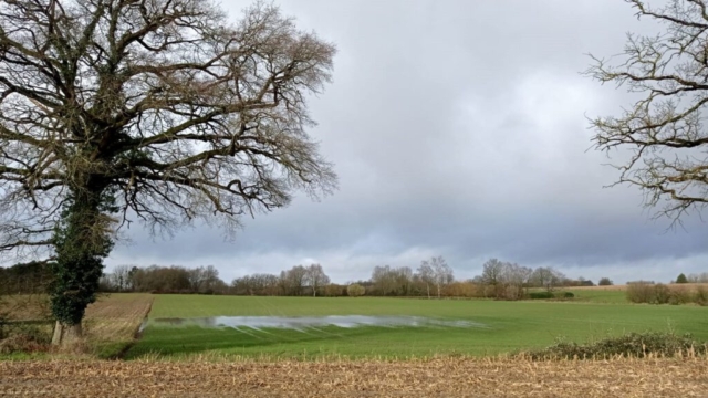 7 IMG-20250128-WA0019