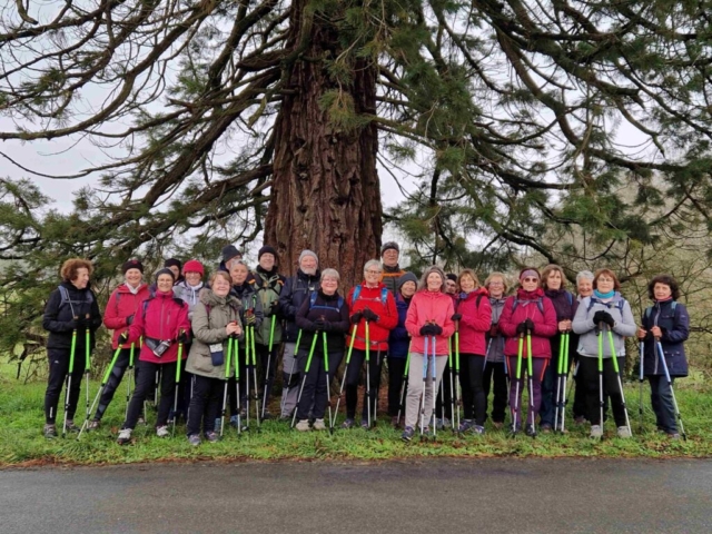 1 20250123_114848 site