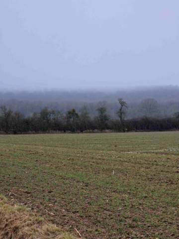 1 20250209_142957 site