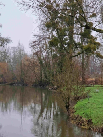 2 20250123_094129 site