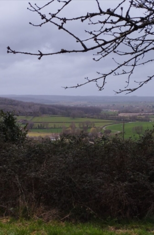 3 Screenshot_20250211_081536_Google site