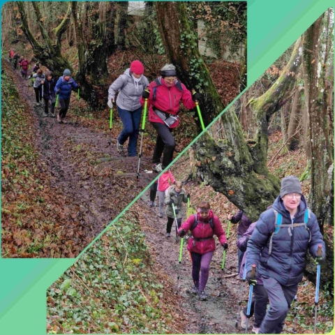 8 InCollage_20250123_190324271 site