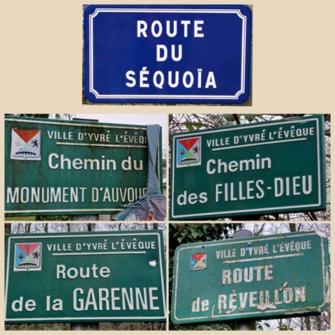 9 InCollage_20250123_185444929 site