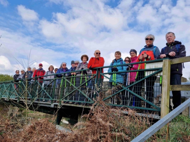 11 20250313_110831 site