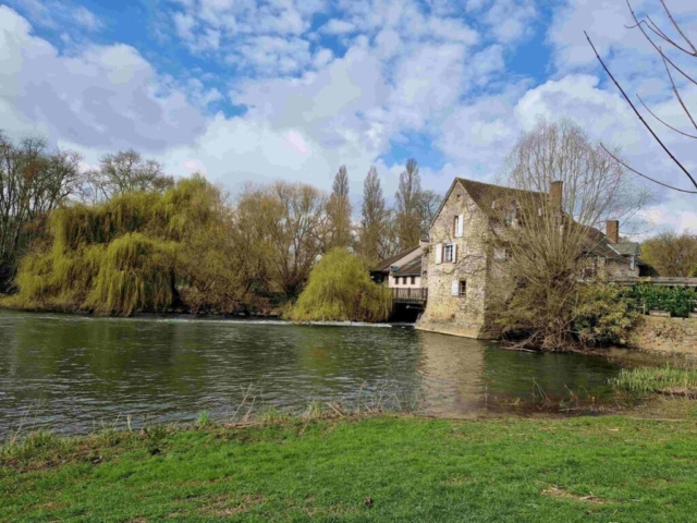 12 20250313_112528 site