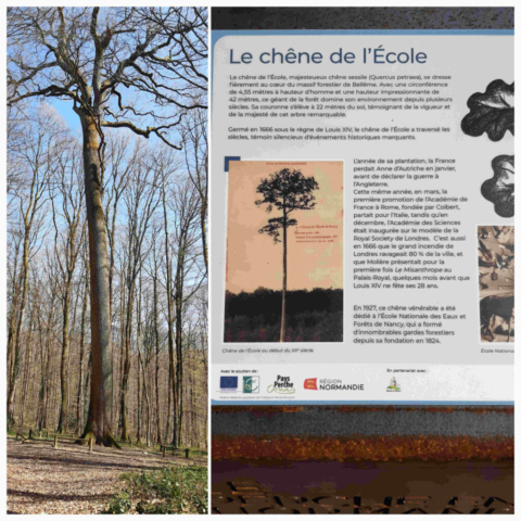 14 20250327_182908340