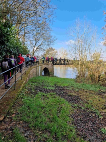 2 20250313_101256 site