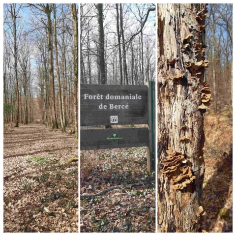 3 20250312_092507197