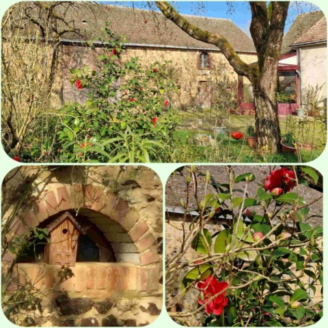 3 InCollage_20250314_094058071 site