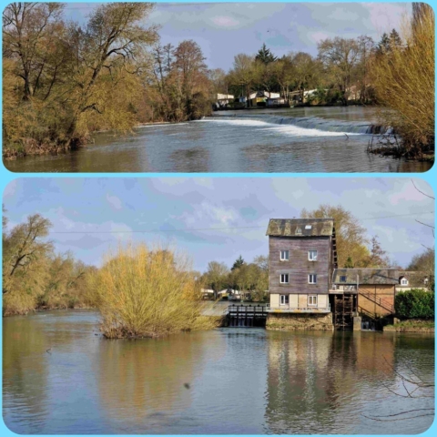 4 InCollage_20250314_094342877 site