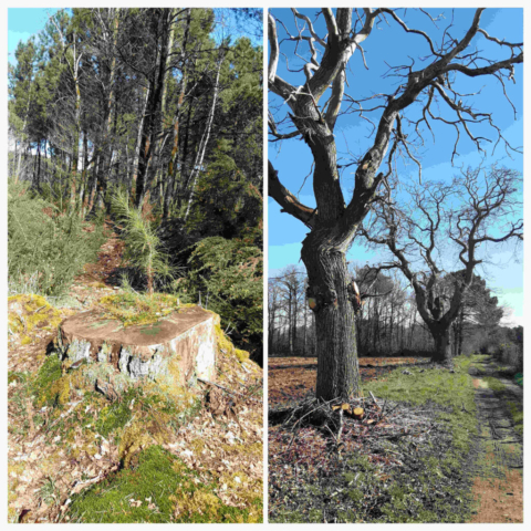 5 _20250312_093939063