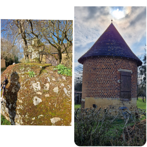 6 InCollage_20250314_094555140 site