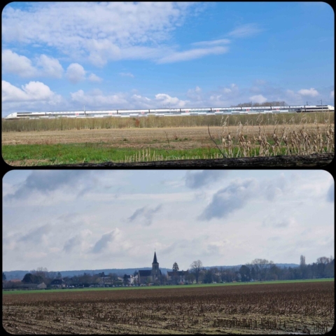 8 InCollage_20250314_094745458 site