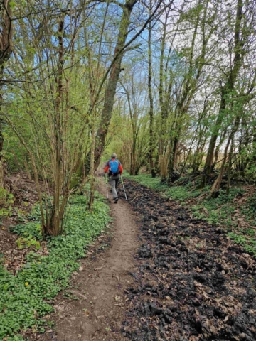 2 20250403_104010 site