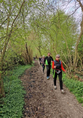 3 20250403_104044 site