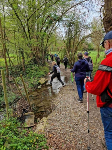 6 20250403_105836 site