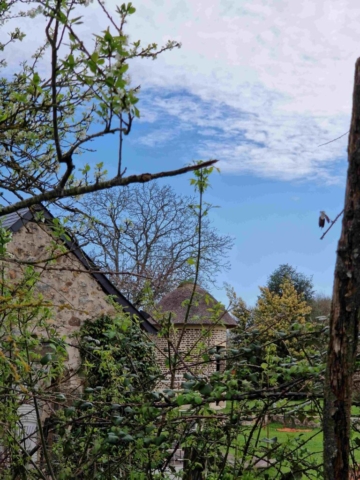 7 20250403_105408 site