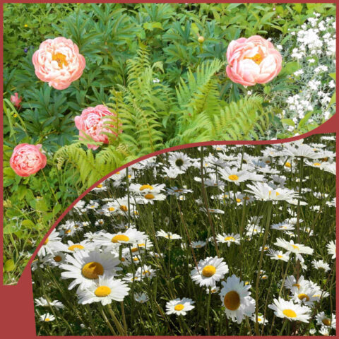 12 _20250523_150715421