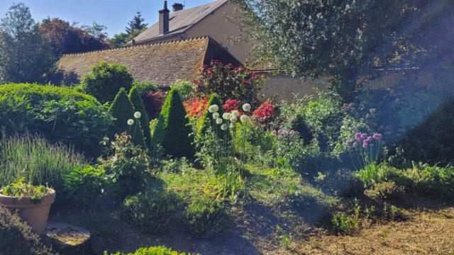 2 IMG-20250522-WA0021