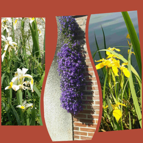 24 20250523_150514105