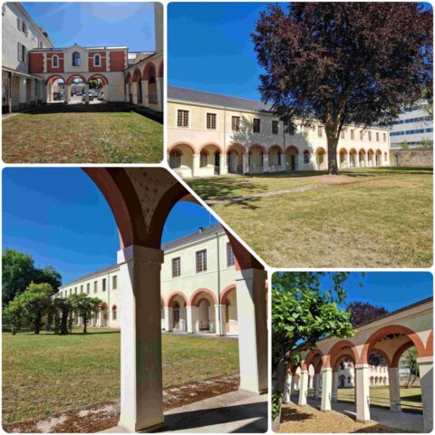 5 InCollage_20250515_222528767 site