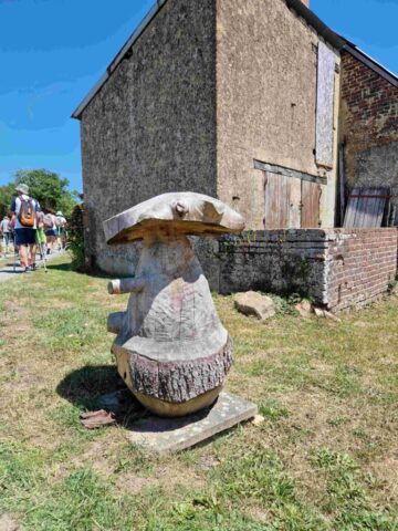 2 20250616_141055 site