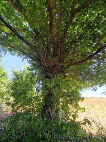 3 20250616_143016 site