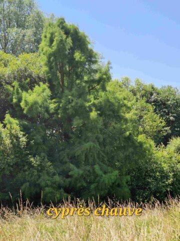 6 20250616_152914 site