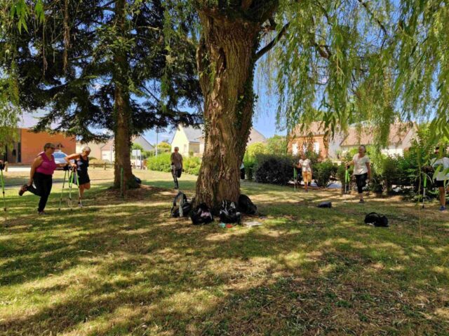 3 20250703_120414 site