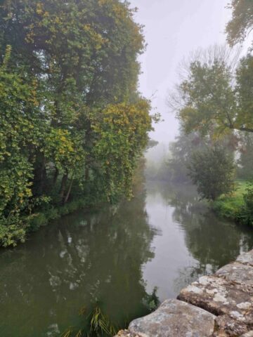 20250918_100118 site 2