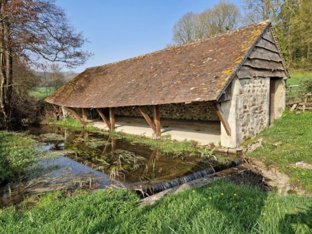 11 IMG-20260310-WA0044