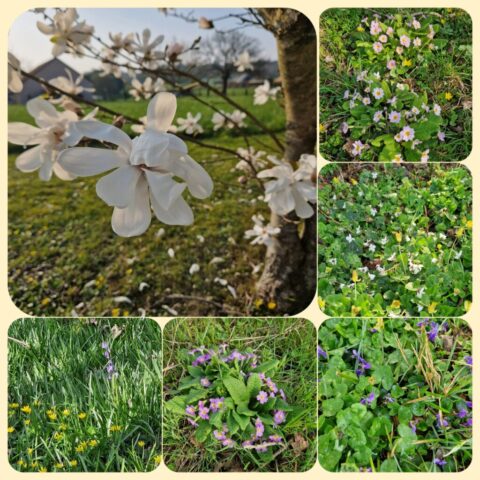 13 IMG-20260310-WA0048