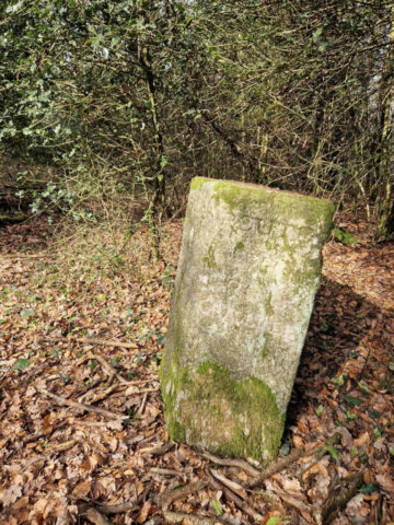 4 IMG-20260310-WA0037